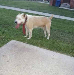 Meet your Posher, Charles